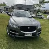 jaguar_1.webp