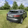 jaguar_2.webp